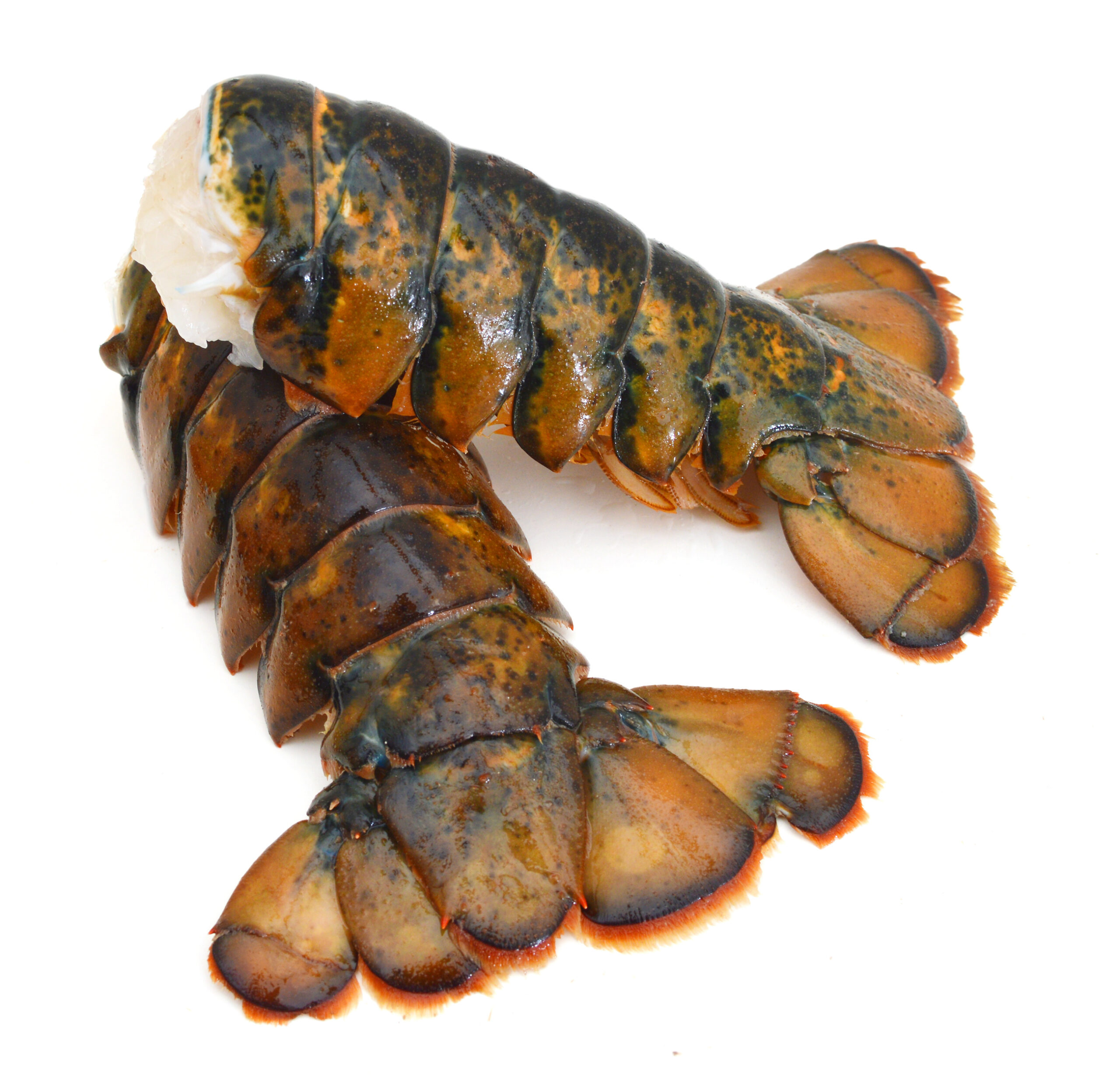 Raw lobster tail
